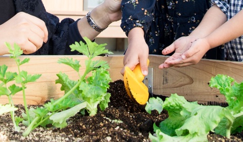 家庭菜園で、子供の「生きるちから」を育てる